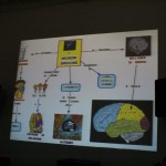 Neuroscienze: arte e imitazione / Flavio Allegri