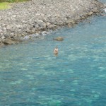 DJI_0099