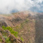 _DSC2933