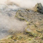 _DSC5404
