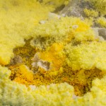 _DSC5461