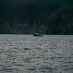 _DSC6577