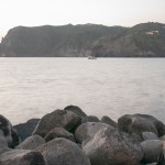 _DSC6598
