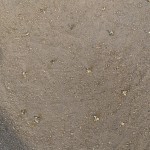 IMG_6046